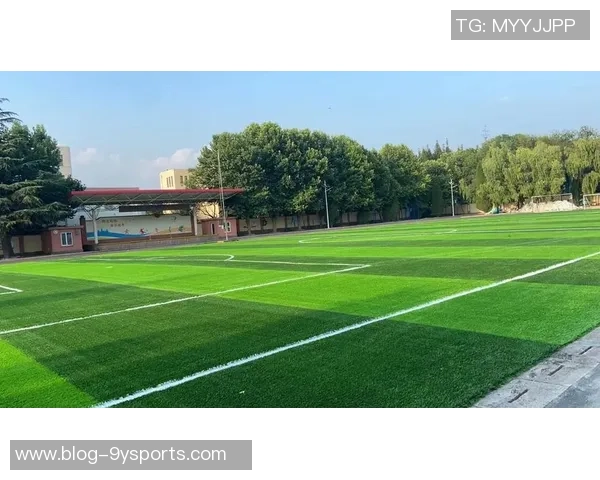 足球场草坪更换的重要性与最佳实践指南助力提升比赛质量与观众体验 足球场草坪更换的重要性与最佳实践指南助力提升比赛质量与观众体验